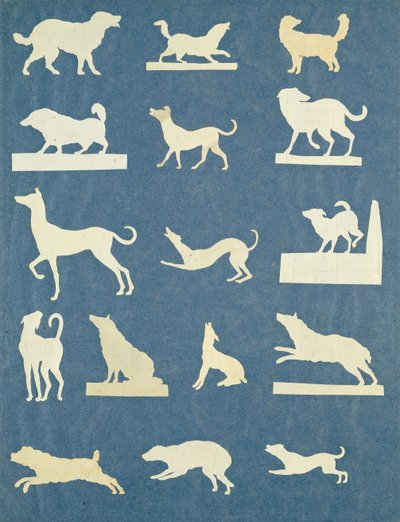 Study of Dogs by Philipp Otto Runge